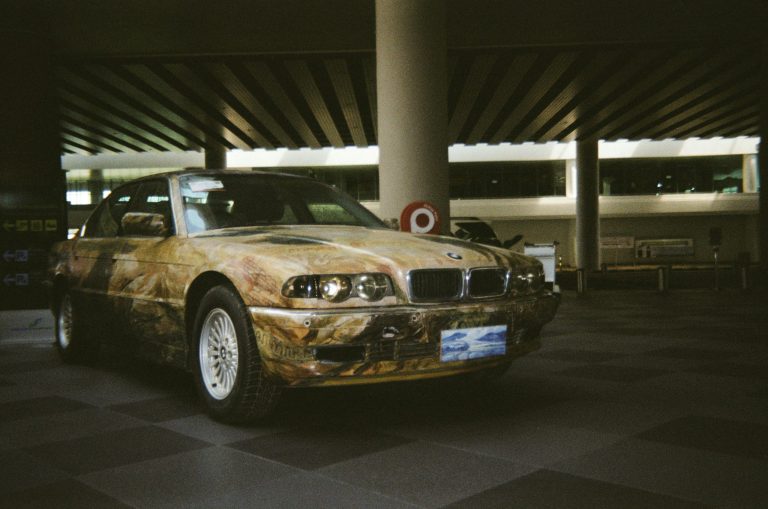 Exploring the Growing Market of Personalized Vehicle Wraps