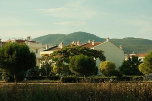 Creating a Sustainable Backyard Ecosystem for Your Urban Home