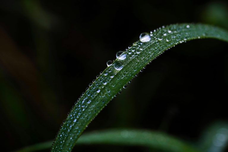 Understanding the Impact of Climate Change on Material Sourcing