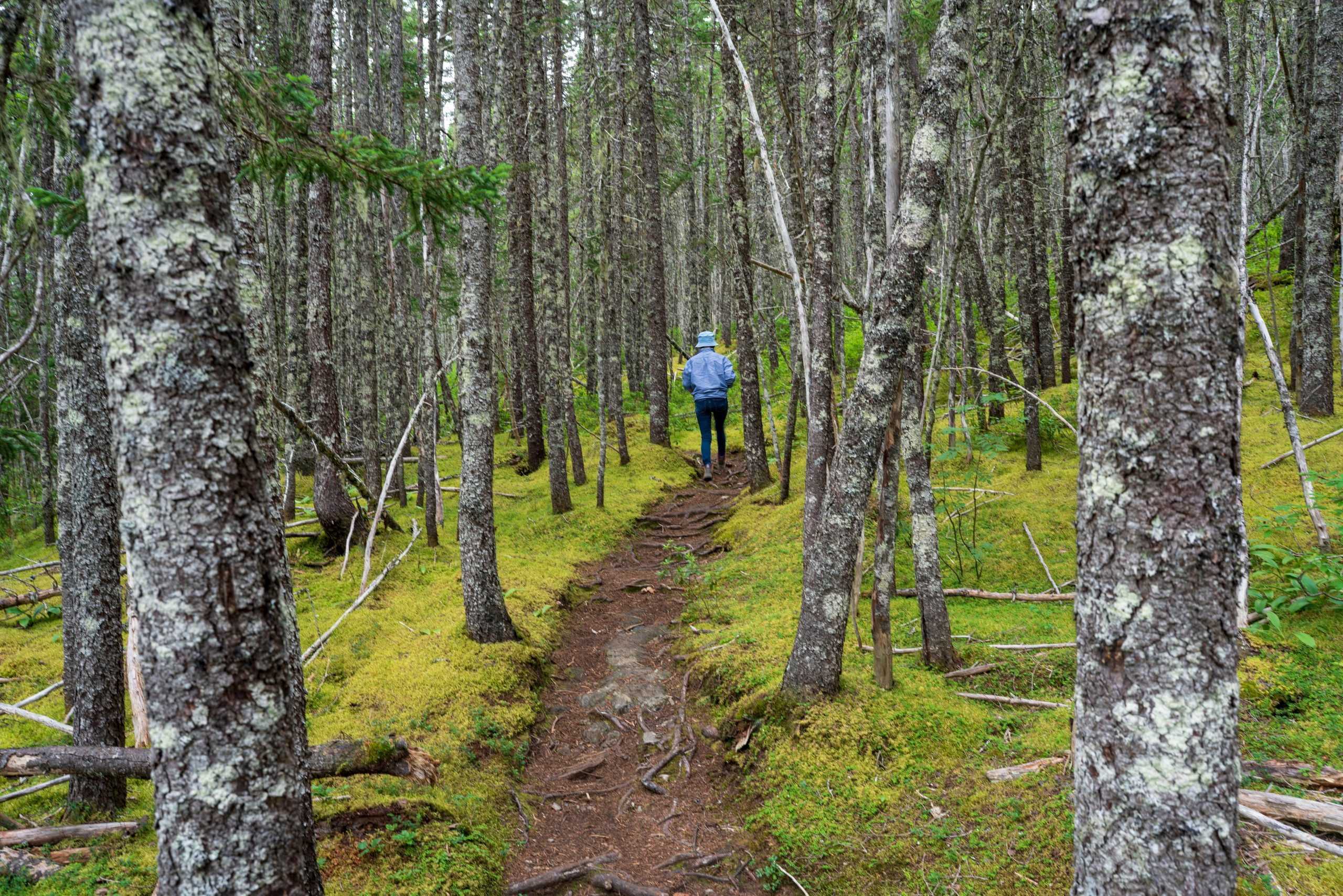 Sustainable Ecotourism Practices: Protecting Fragile Natural Environments