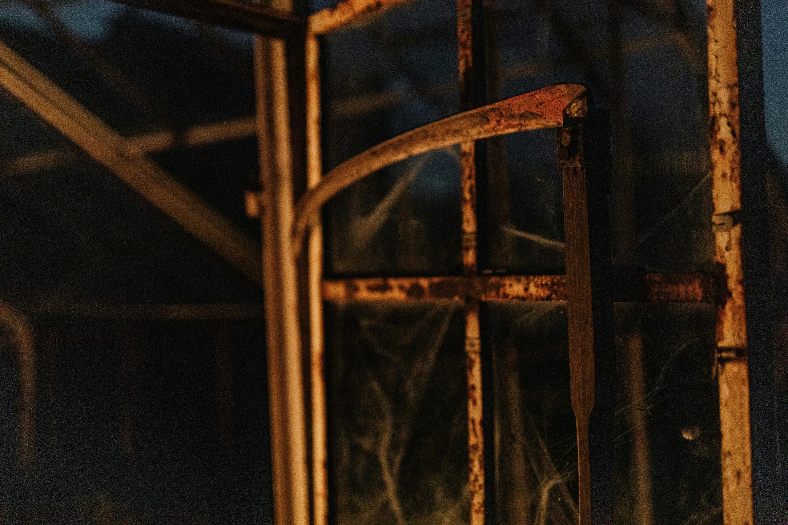 Discovering Forgotten Composers and Their Masterpieces